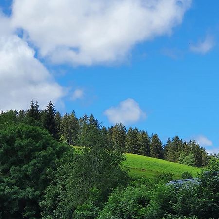 Ferienwohnung Hitz Hinterzarten Eksteriør bilde