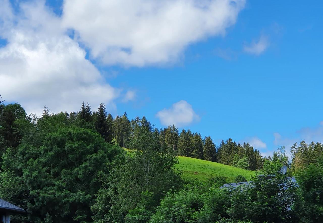 Ferienwohnung Hitz Hinterzarten Eksteriør bilde