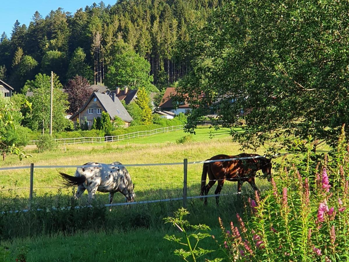 Ferienwohnung Hitz Hinterzarten Eksteriør bilde